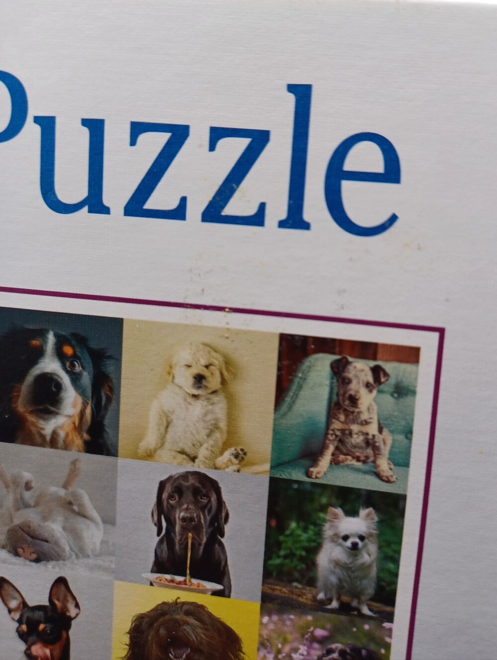 Ravensburger Lovable Dogs Large Piece Puzzle Complete - Picture 2 of 15